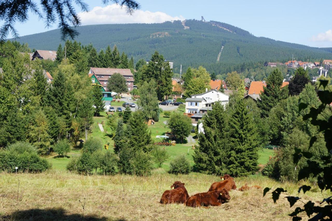 Villa Am Paulsberg Braunlage Buitenkant foto